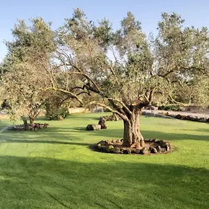  Alloggio per agriturismo Su Sattisceddu Italia